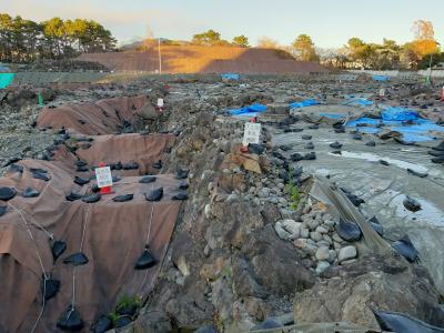 2022年冬の18切符の旅(3/3)。名古屋、久能山、駿府城公園。