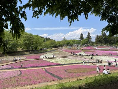 GWは念願の羊山公園の＊芝桜＊　その後に国宝歓喜院聖天堂