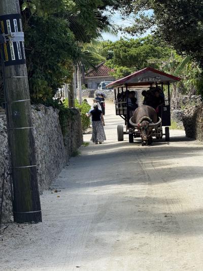 1歳4歳子連れ のんびり観光&ビーチリゾートどちらも楽しむ旅 石垣島5泊8日 ①出発~石垣島~竹富島