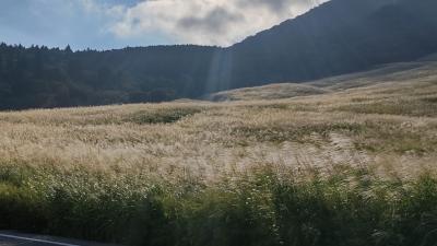 まったり箱根旅