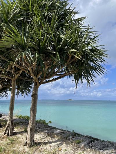 友人たちと沖縄のホテルステイ2泊3日