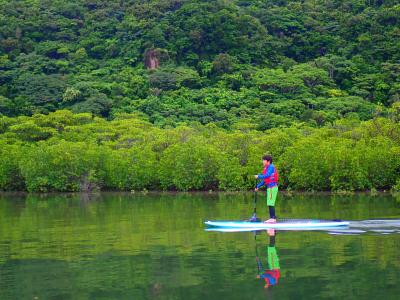 2025夏☆西表島5泊6日旅(5日目マングローブSUP)