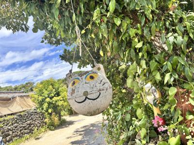 2025夏☆西表島5泊6日旅(6日目竹富島サイクリング)