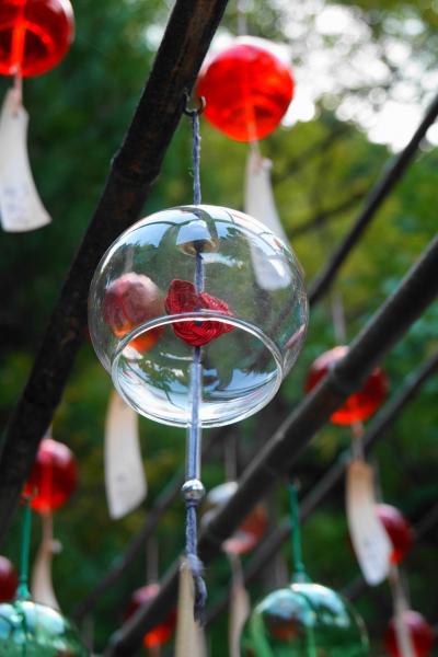 2025年9月滋賀・京都に観音を訪ねて~その4 50年に一度のご開帳、風鈴寺の正寿院