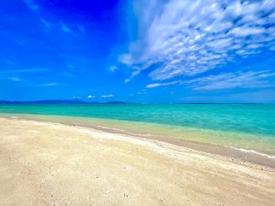 トビウオのアーチをくぐった石垣島旅行①