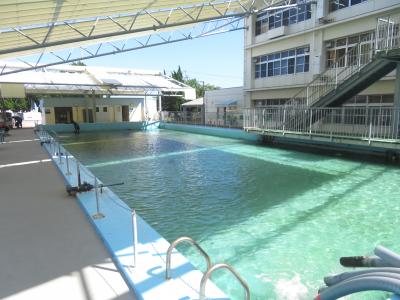 室戸岬が熱い（２）