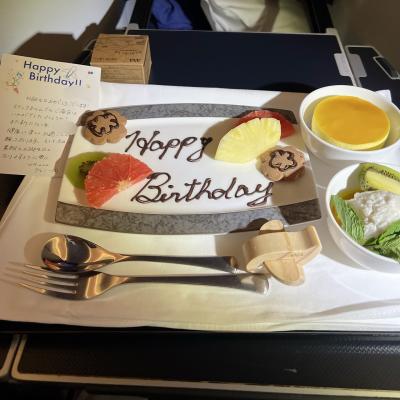 【8/17-9/2】計画を立てながら旅する気ままなヨーロッパ4ヵ国周遊一人旅　(7)帰国+α編