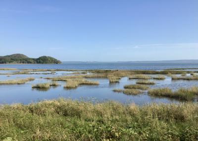 根室半島の初旅2025 その①;花咲線で根室へ~ディープな歴史探訪 納沙布岬から国後島の山