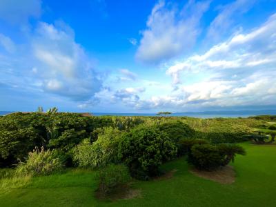 トビウオのアーチをくぐった石垣島旅行③