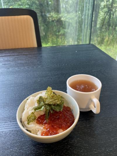 6年ぶりの帰省 3泊4日の旅 その3