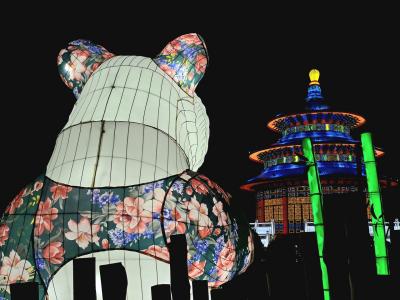 天府ランタンフェスティバル in ブエノスアイレス