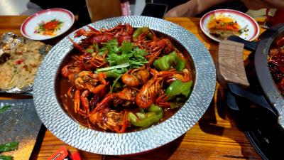 仕事で上海新港区に