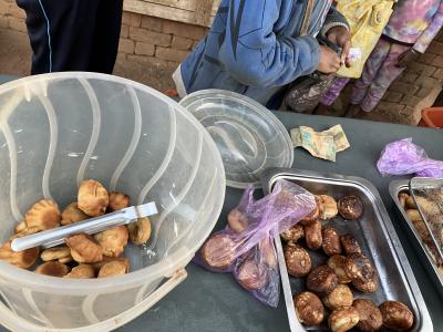 30日間の7日目① 　モロンダバへの帰路と愛し合うバオバブ