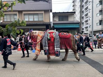 2025.6 チャグチャグ馬コを観に行こう!@岩手県盛岡市