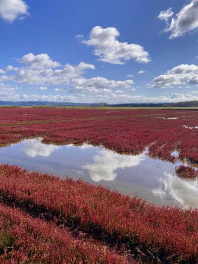 6年ぶりの帰省 3泊4日の旅 その4