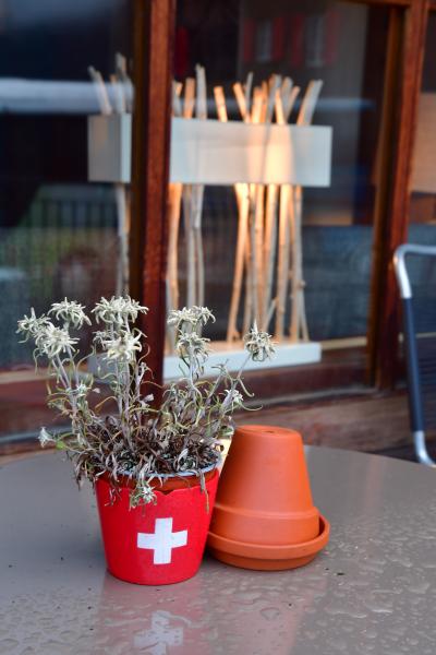 2025年9月の夏休み 山岳ホテルに泊まるスイスの旅 その1 #スイスに行きます、楽しめますように。