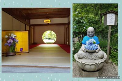 明月院のあじさい・鎌倉散策