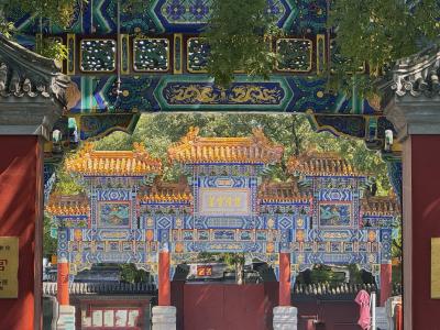 【好久不見！ベイジン】Ｚクラスでゆく帝都北京・世界遺産 満喫の旅③雍和宮・王府井・朝陽公園編