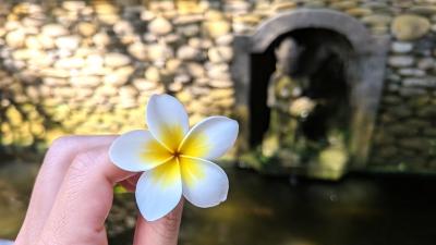 2025年9月 インドネシア④★ バリ島帰国編