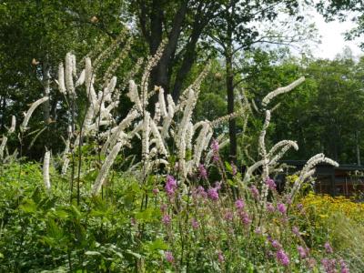 秋の道北ガーデン巡り～前半