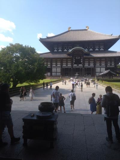 旅行体験記2025~奈良~奈良生活5年目特別企画!私から見た奈良の魅力精一杯お伝えします!