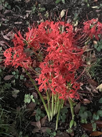 9月のお参りに行って来ました!