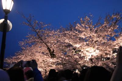 夜桜を見に東京へ