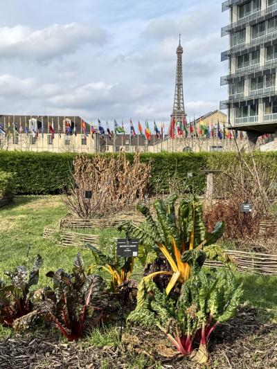 エッフェル塔はパリのランドマーク