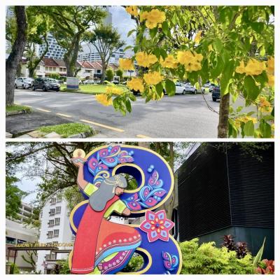 “れぱっ-れぱっ” in ペナン ⑦&⑧日目～歩く、食べる、ときどき泳ぐ