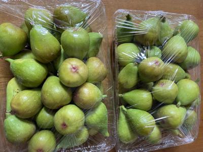 秋田市民市場でお買い物をする。久しぶりに買い物だ。