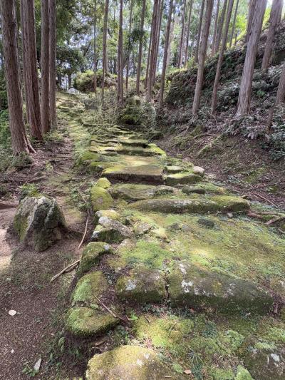 2025年09月　熊野古道ハイキング　伊勢路７　波田須の道