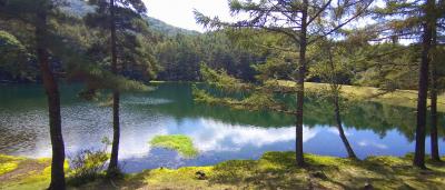 蓼科高原池めぐりとバラクライングリッシュガーデンのアフタヌーンティー～車山高原・5泊6日長期滞在の旅③～