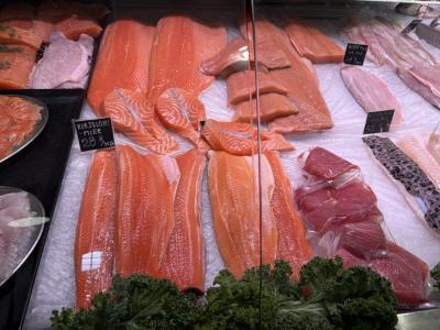 アイスランドとフィンランド旅行(13)