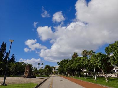 【タイさんの仕事探しの旅】那覇28日目。出社までの日々。