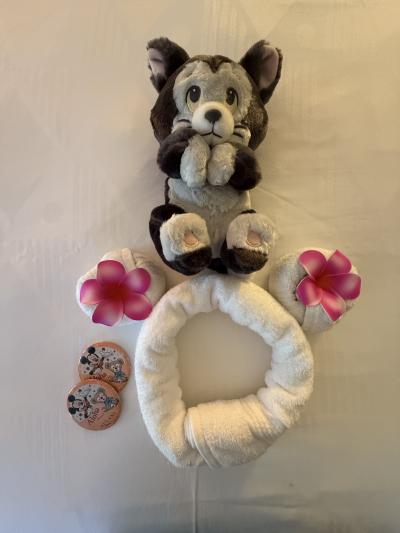 母娘でハワイ アウラニとホノルル 1