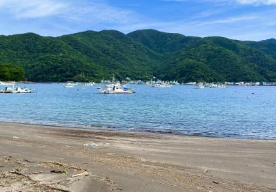 爽やかな初秋の伊豆２海岸線も湧水もキラキラの綺麗さ