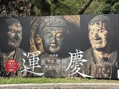 涼しくなったので、上野公園とアメ横エリアへ！