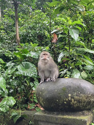 バリ旅行記　day3