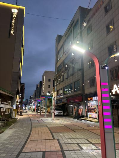 空港島で参鶏湯食べただけの初韓国