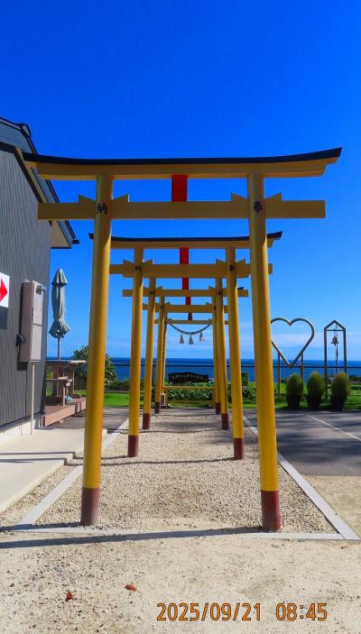 2025 茨城県の大洗へ神鳥居を見に行く ①金の鳥居の『ほしいも神社』と酒列磯前神社~那珂湊