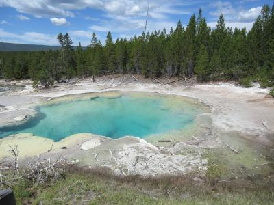 イエローストーン国立公園7日間②