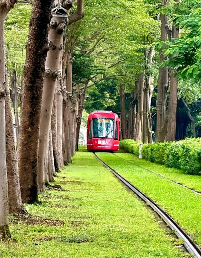 弾丸台湾☆48時間ニ都物語・台北＆高雄☆⡱No.2