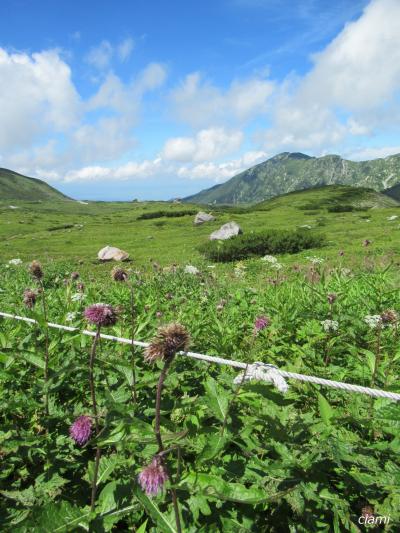 最後のトロリーバス 202408立山黒部アルペンルート①