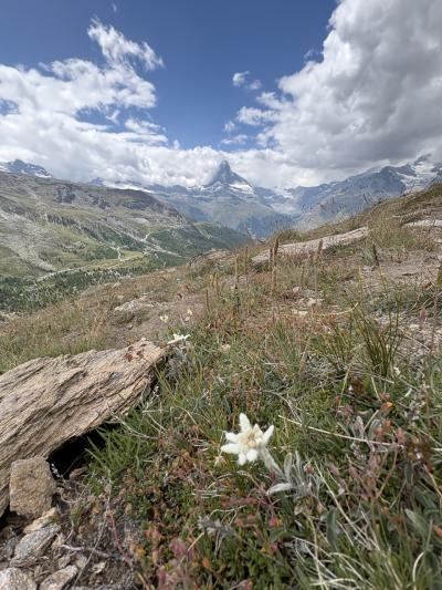 2025年7月 ツェルマット② スネガ~ブラウヘルト~ステリゼー