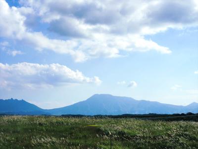 秋のお墓参り 久住高原でピザ&パスタを楽しみ、豊後竹田 Cafe SlowBeat の看板猫に再会!