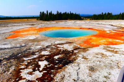 2025年 イエローストーン国立公園、グランドティトン国立公園 ①