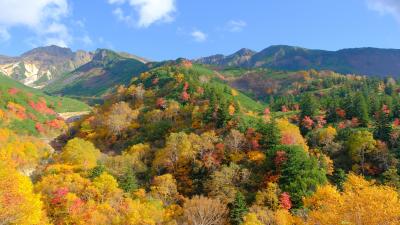 【下書き公開中】紅葉に高揚！（爆）十勝岳温泉２０２５