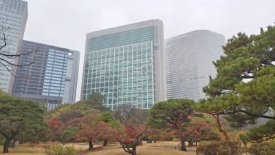 2025冬　結婚周年記念　Hiltonホテルステイ　コンラッド東京