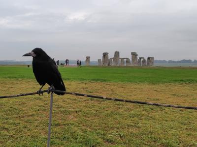 2025年9月ロンドン一人旅⑤~ストーンヘンジ&オペラ座の怪人~