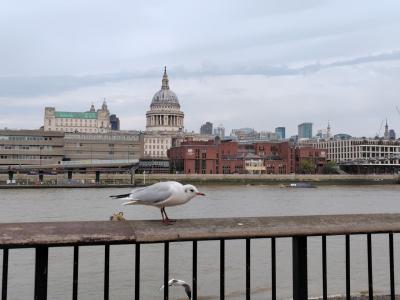 2025年9月ロンドン一人旅⑥~街歩き~